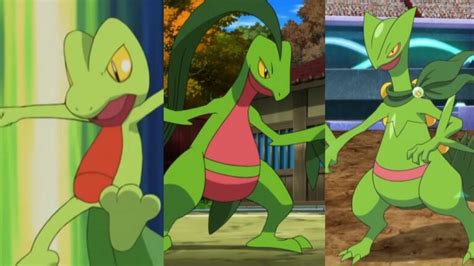 ash sceptile|when does treecko evolve.